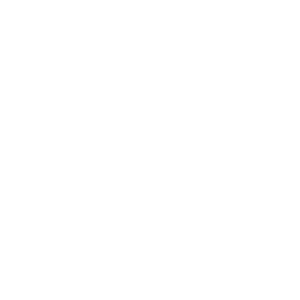 Professional Development